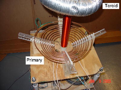 Primary